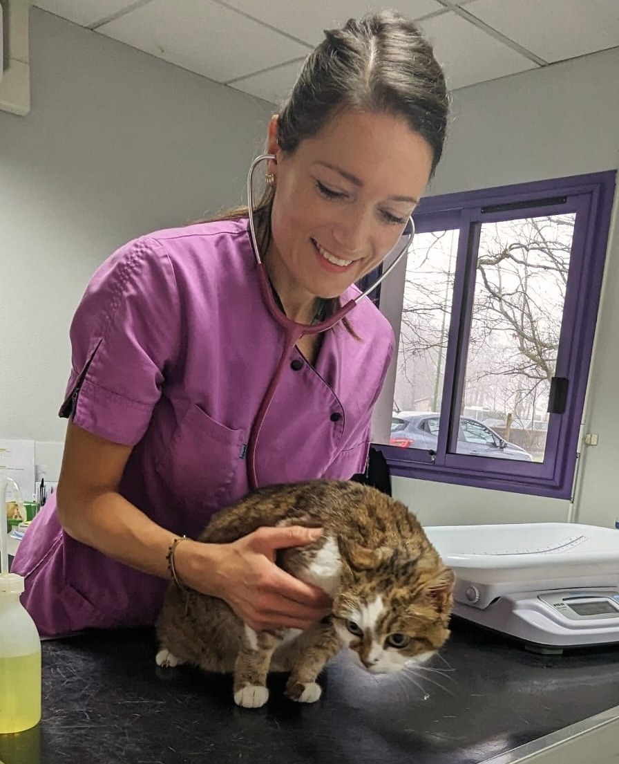 Léa Bertrand vétérinaire Big Cats