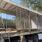 Demontage_camions_loges_big_cats