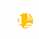 big-cats-logo